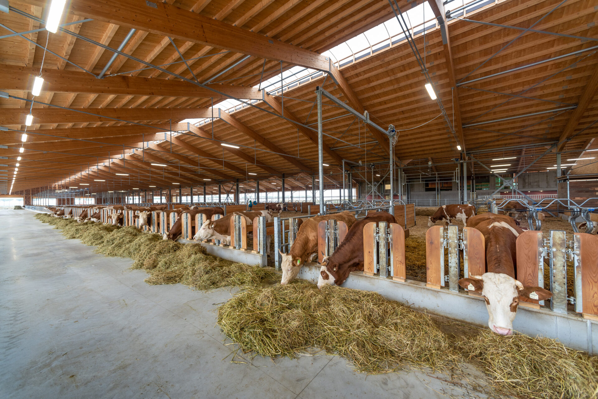 Fiere Zootecniche di Cremona