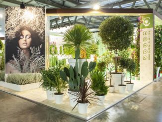 6th Myplant e Garden