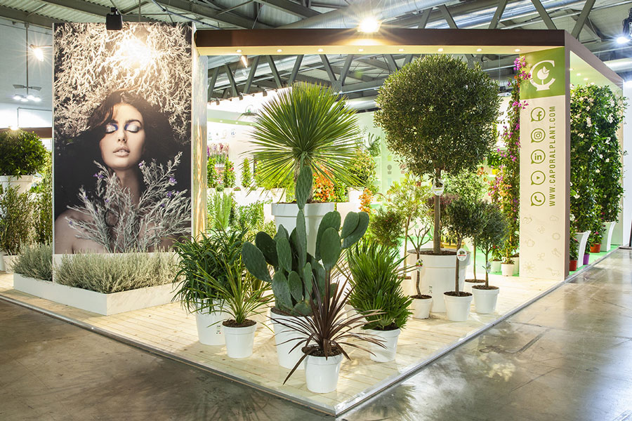 6th Myplant e Garden