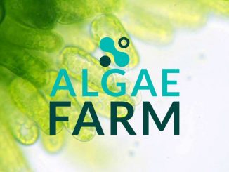 AlgaeFarm 2022