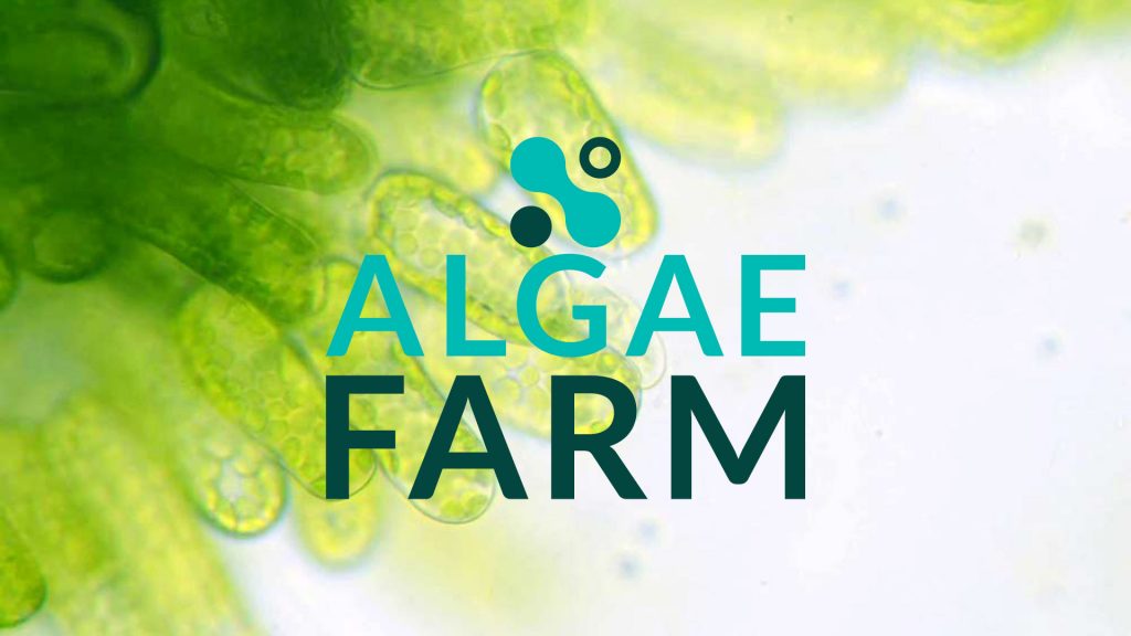 AlgaeFarm 2022