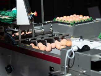 2022 Fieravicola Poultry Forum&B2B