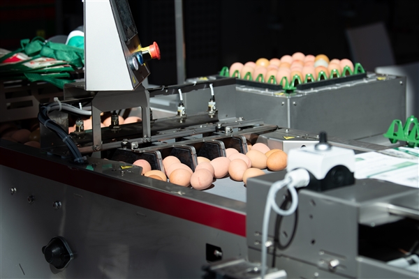 2022 Fieravicola Poultry Forum&B2B