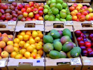 Macfrut Rimini 2022