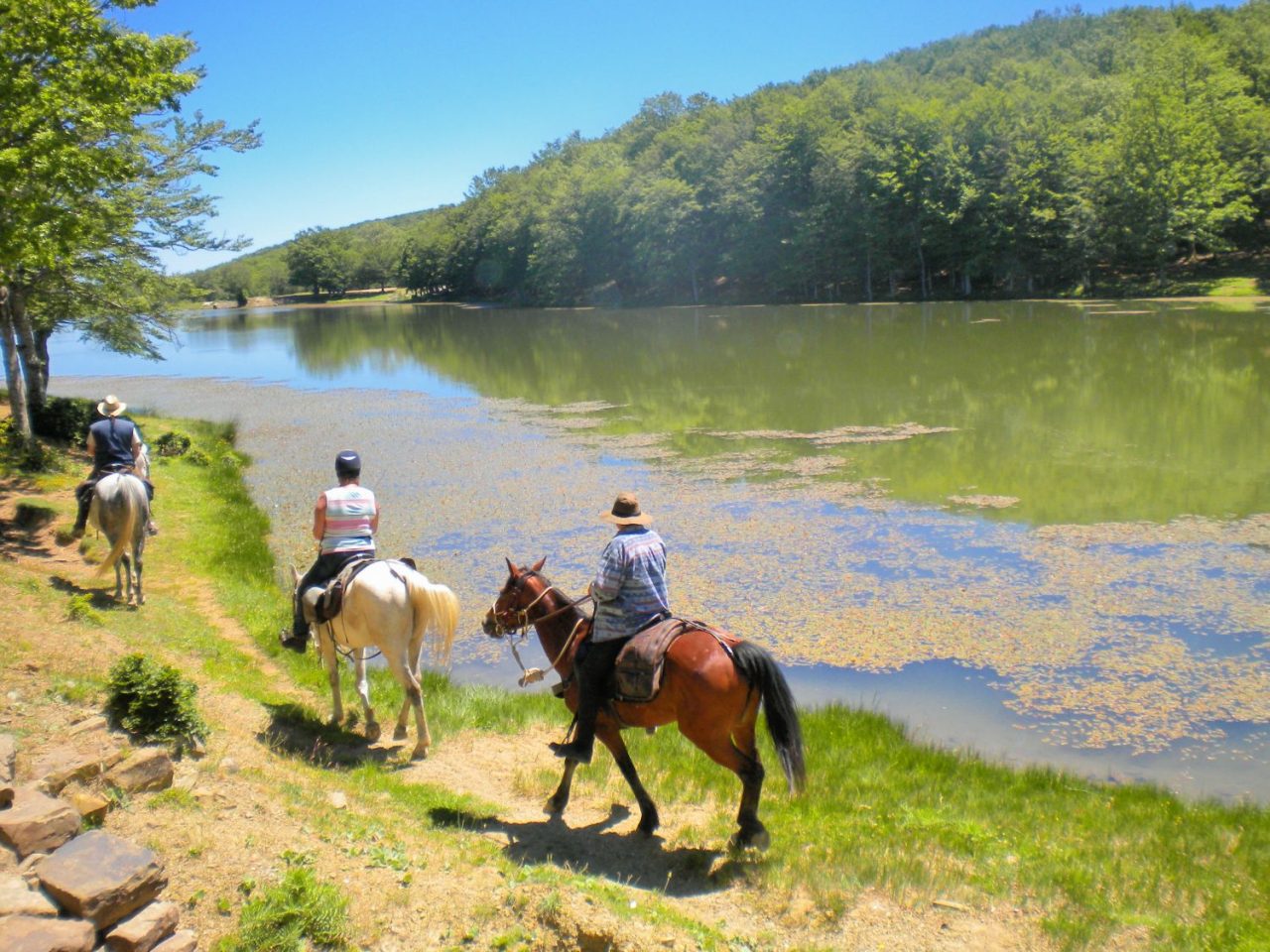 Fieracavalli edizione 2022