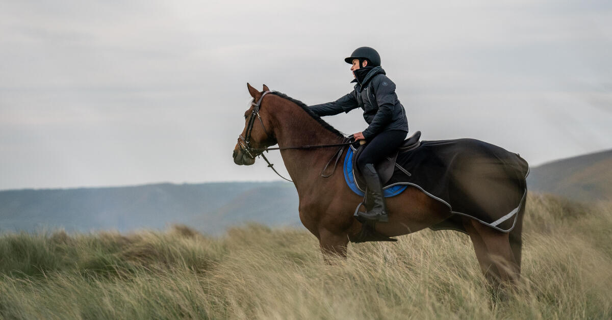 Fieracavalli Verona 2022
