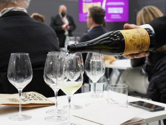 Slow Wine Fair 2023