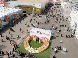55th Vinitaly