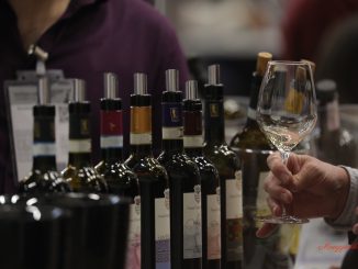 Slow Wine Fair Bologna 2023