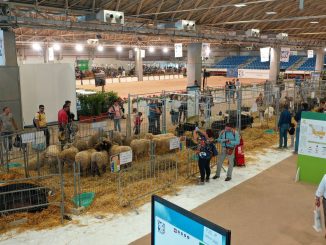 Agrilevante Bari 2023