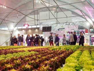 Macfrut 40th edition