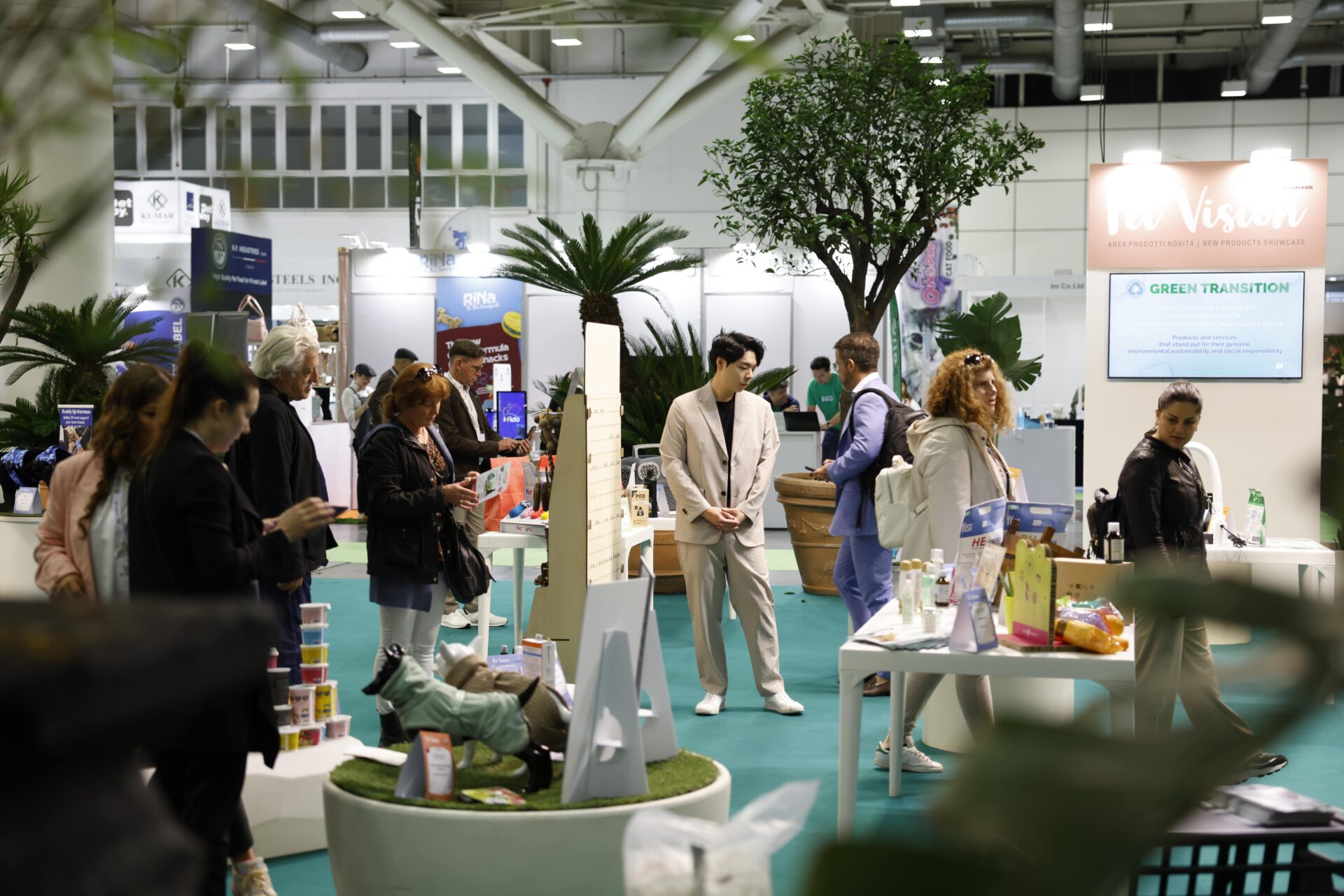 20th Zoomark edition 