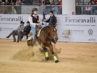 Fieracavalli 2023