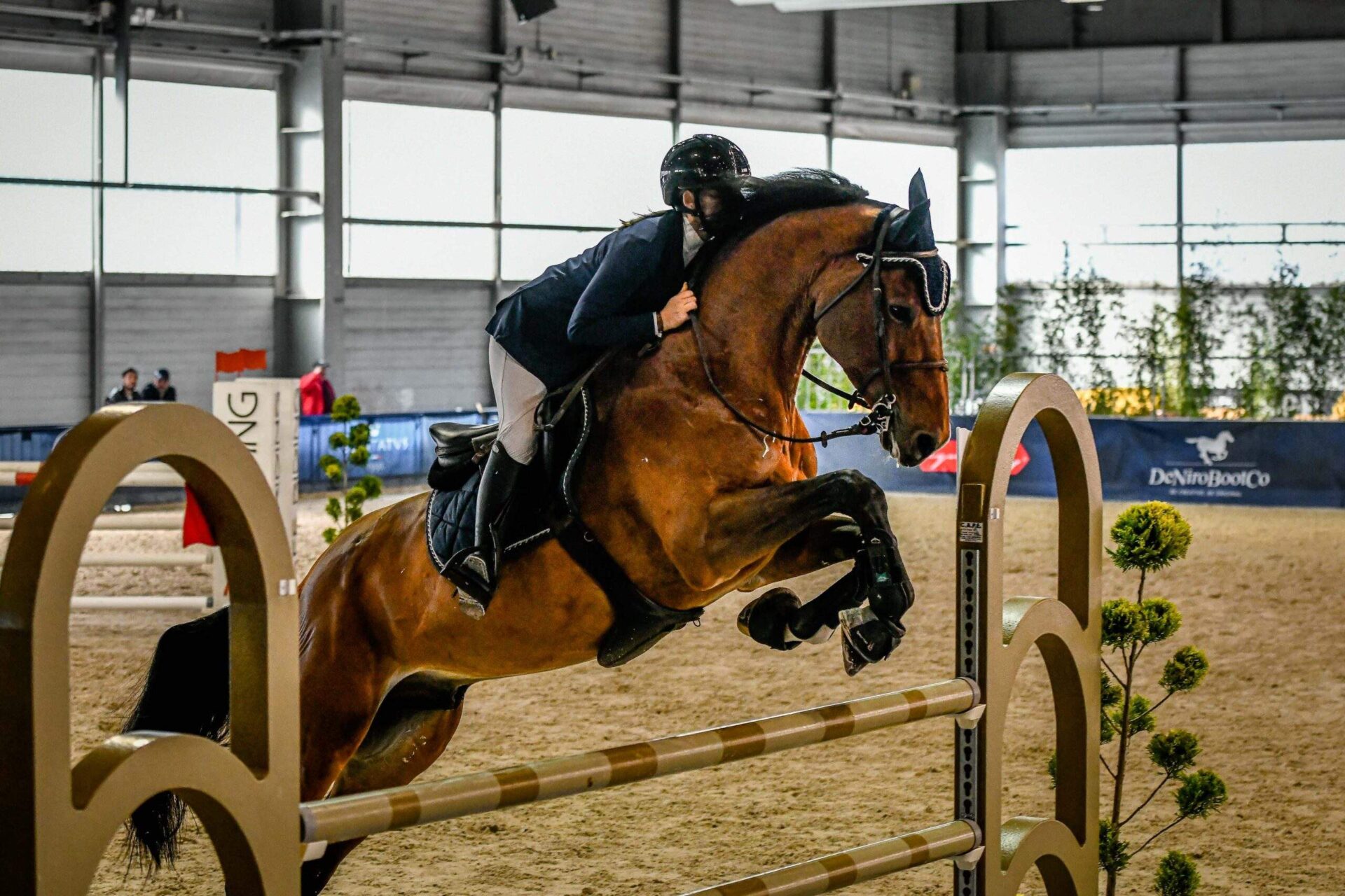 Fieracavalli ed 2023