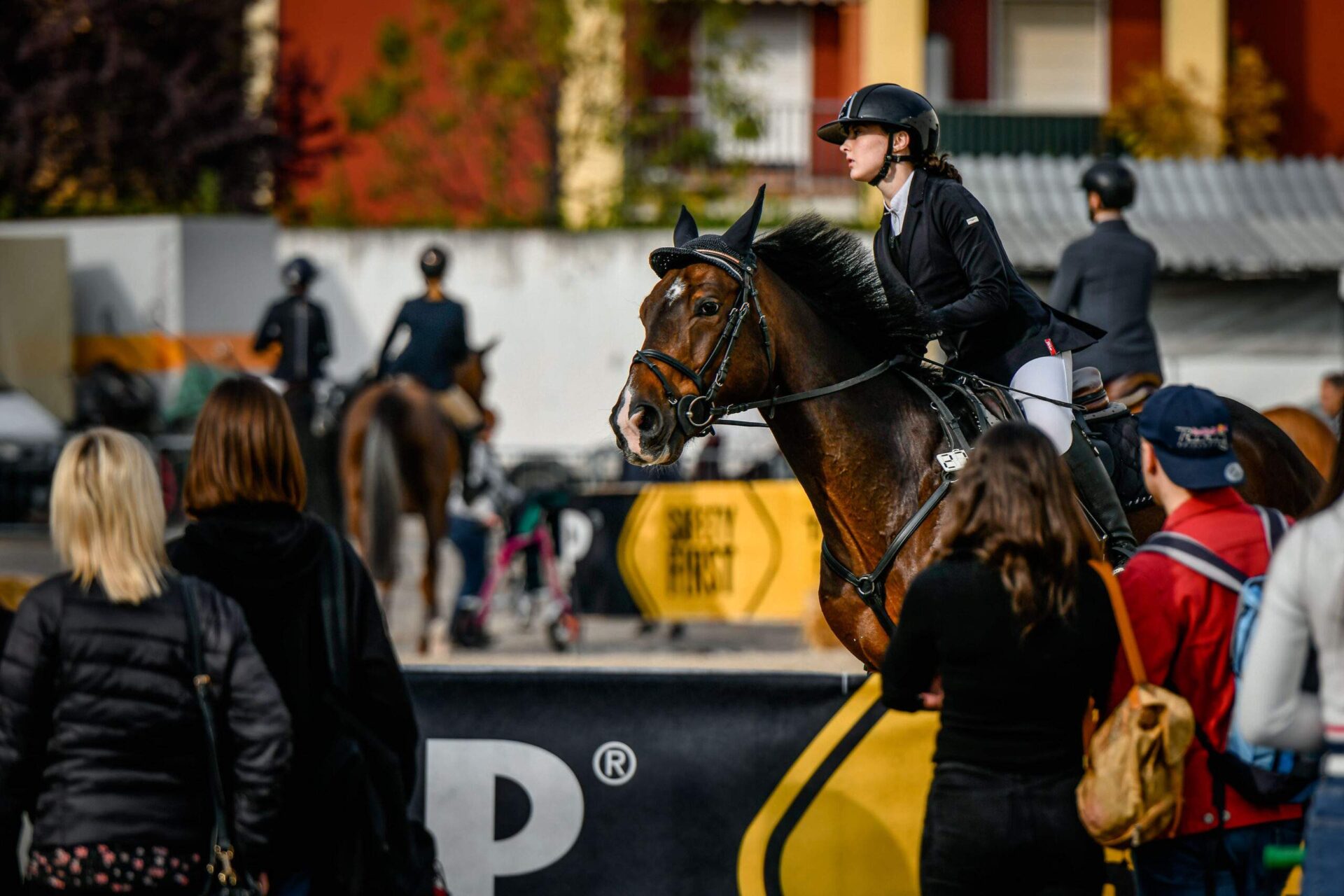 125a Fieracavalli Verona