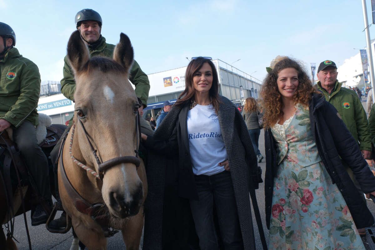 Fieracalli 2023 edition