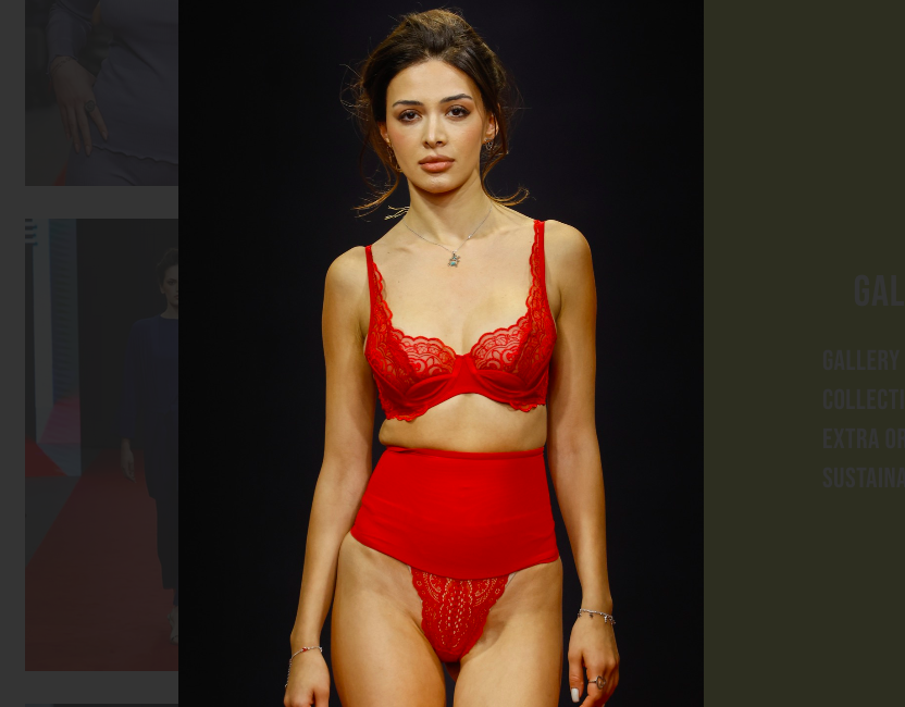 Immagine Italia 2024