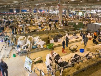 79th Fiere Zootecniche Internazionali