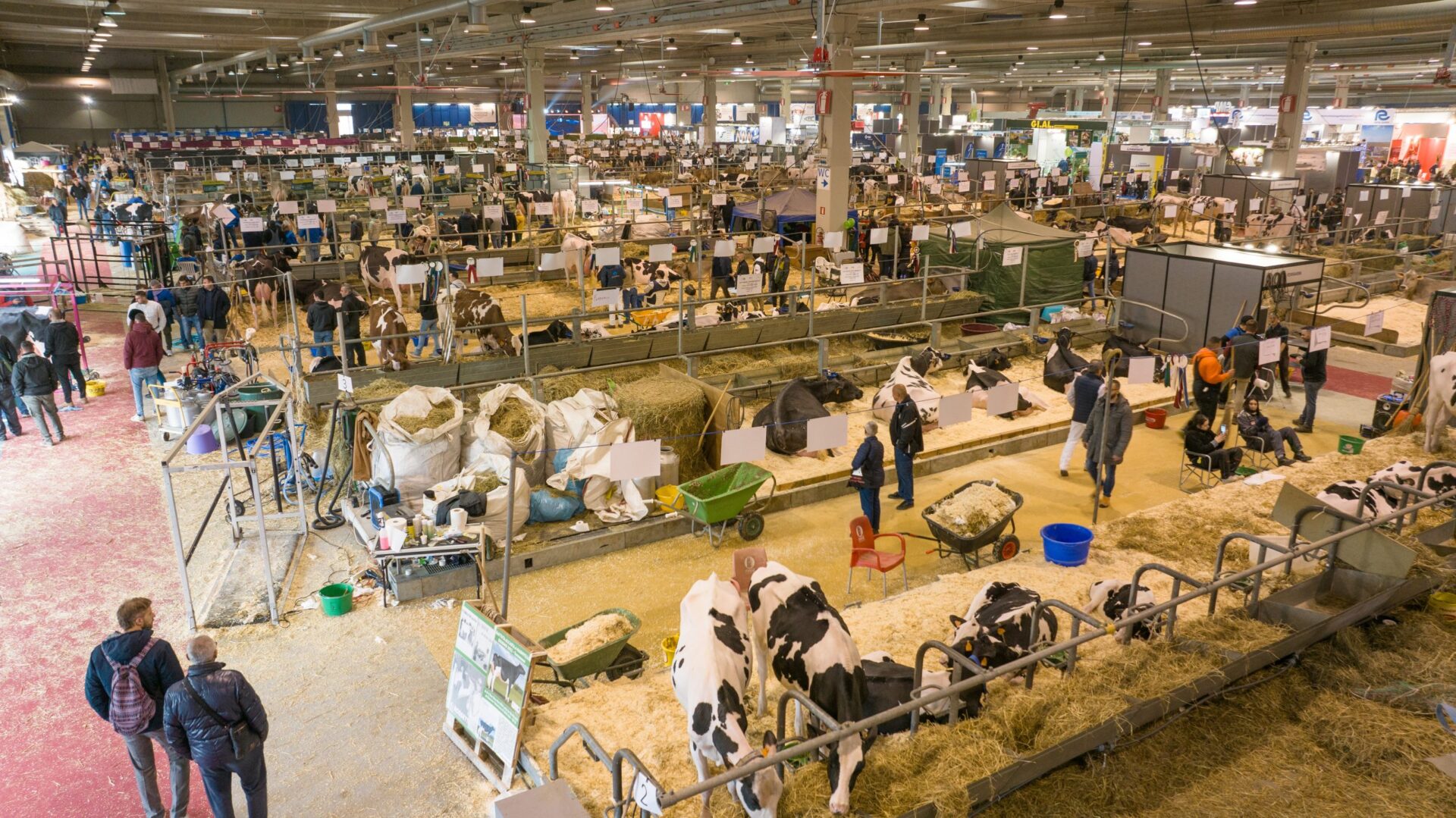 79th Fiere Zootecniche Internazionali