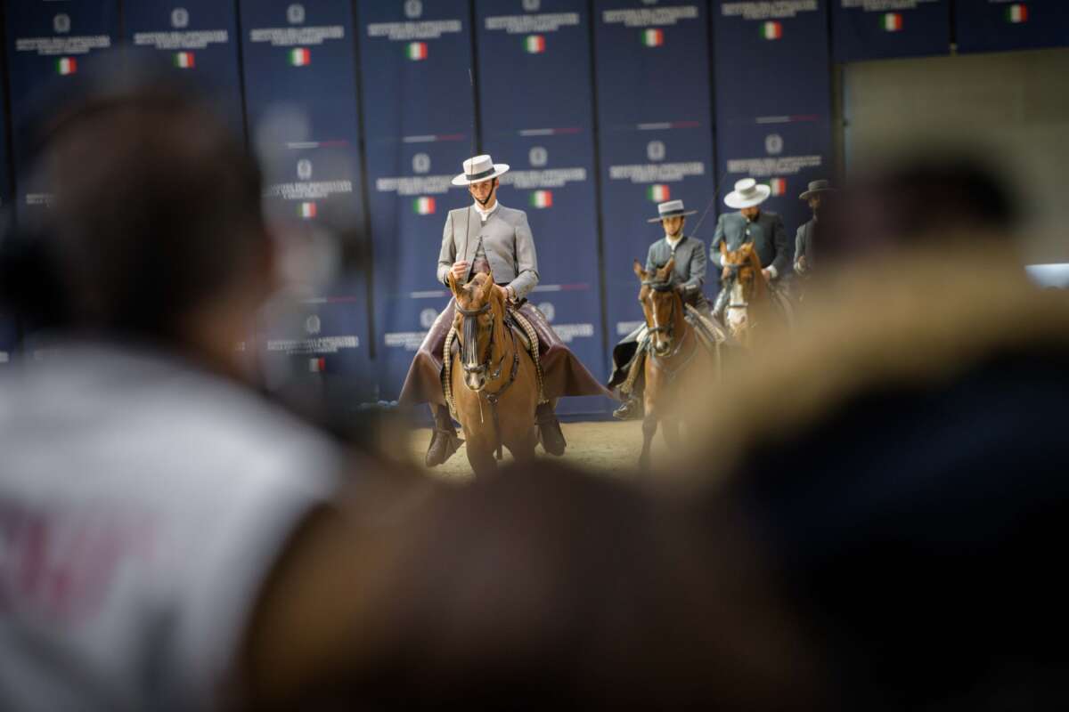 Fieracavalli Verona 2024