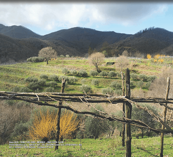 12th Vita in Campagna – La Fiera