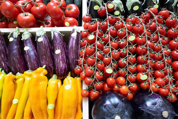 Macfrut 2025 edition