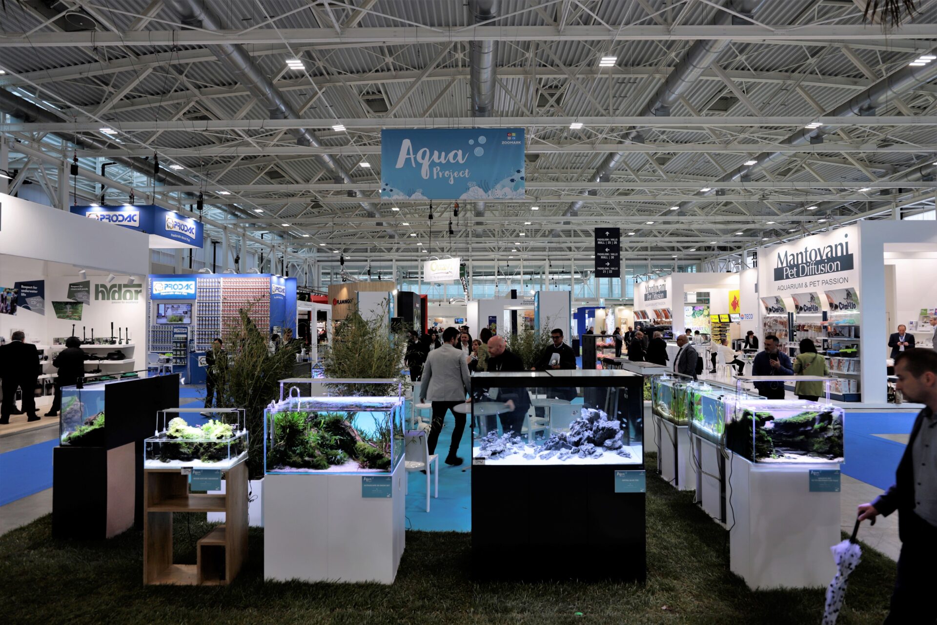 Zoomark 2025 edition