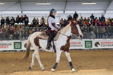 127ª Fieracavalli