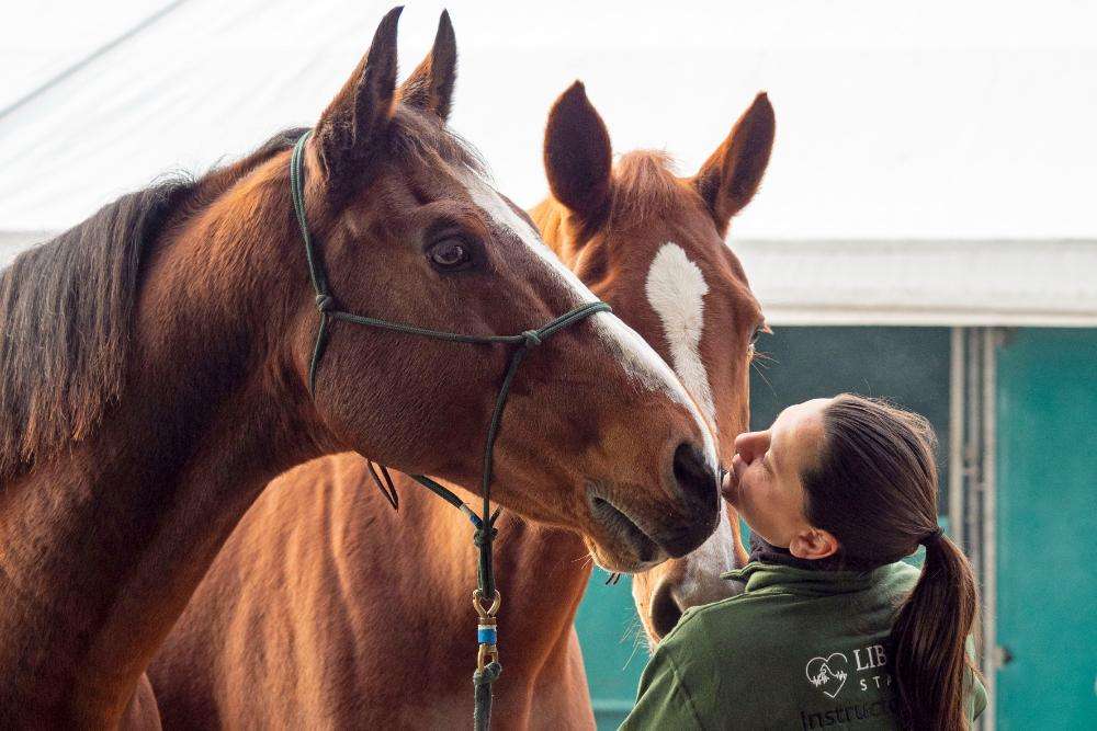 Fieracavalli 2025 Edition