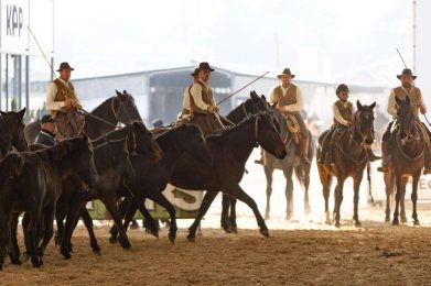 127th Fieracavalli Edition