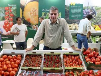 Macfrut 2026