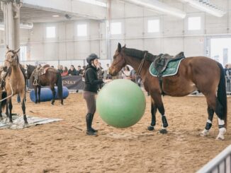 Battesimo della Sella Fieracavalli
