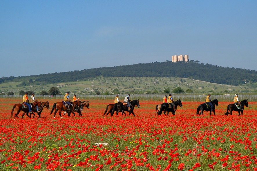 Fieracavalli 2026